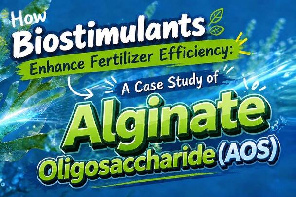 Reliable Fertilizer Additive Ranking for Enhanced Plant Growth and Soil Health